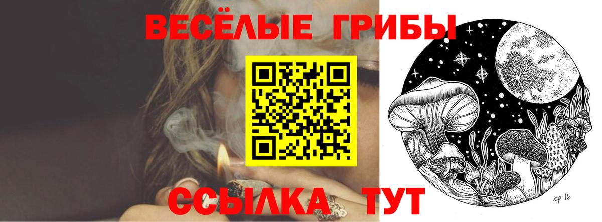 Березники  Галлюциногенные грибы Cubensis  как найти закладки  Вход с VPN 